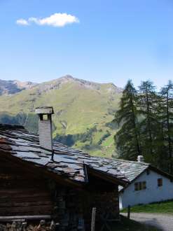 IMG_4456.JPG